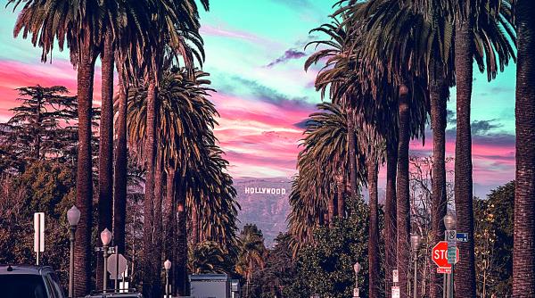 vize america autoritati suspendare