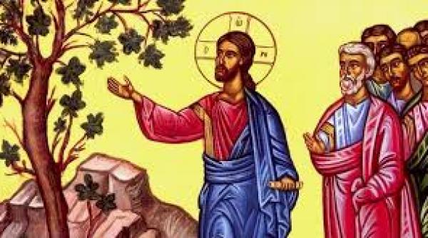 pilda smochinului neroditor ipocrizia amanarea lipsa sens lectie hristos blestem