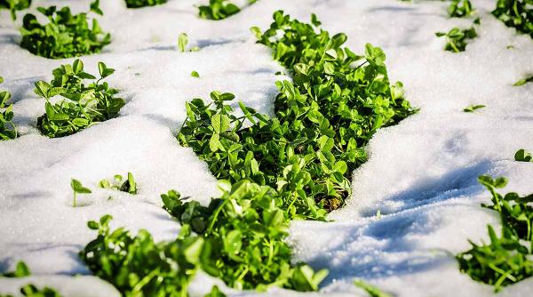 agricultori bani fond rezerva uniunea europeana