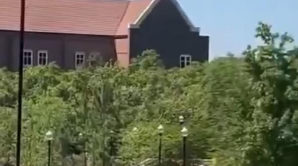 atac armat cu sase victime intr o universitate din florida