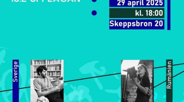 poezia tinerilor in prim plan la atelierul de traduceri romano suedez