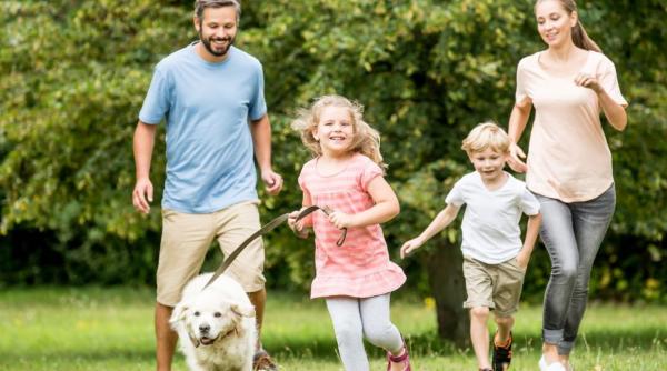 caini copii si paraziti cum putem sa traim in armonie