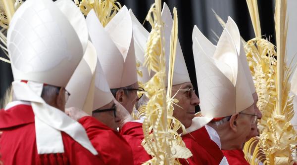 care sunt veniturile cardinalilor vatican