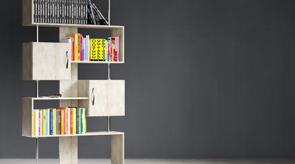 tendinte in lectura ce genuri literare castiga popularitate anul acesta