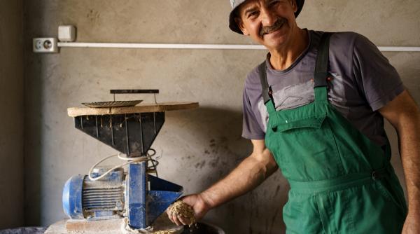 marea reintoarcere la origini morile electrice iti modernizeaza gospodaria