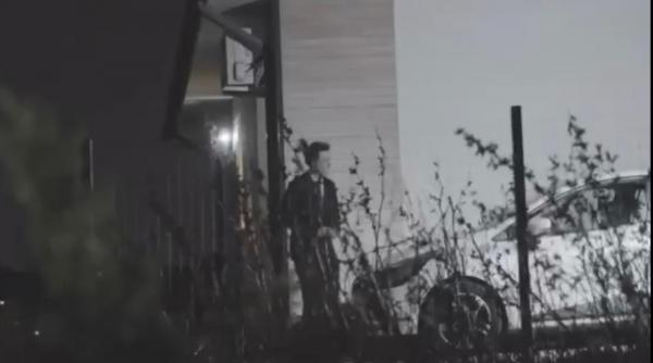 lasconi nicusor dan coldea