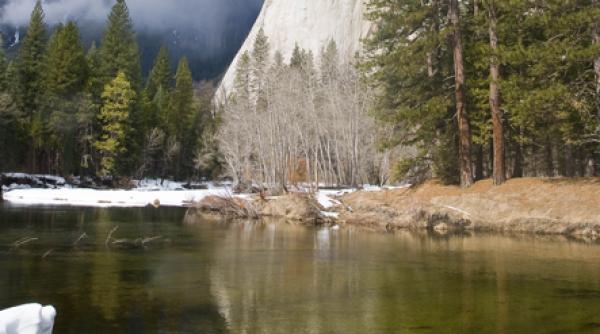interpretarea viselor ce inseamna cand visezi apa
