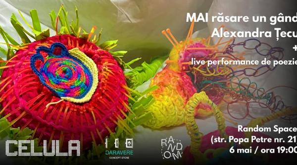 celula de arta 5 expozitii si calatorii inspre exterior dar si inspre interior