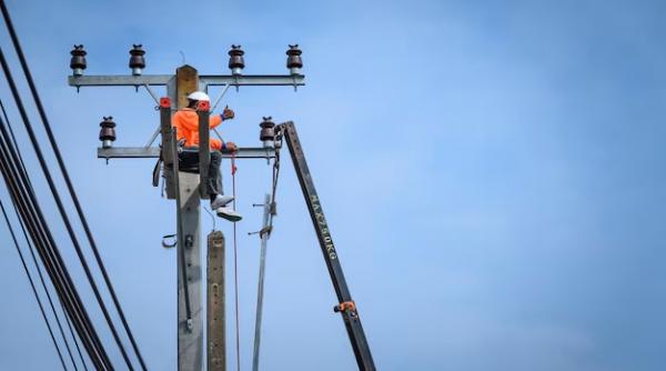 vicios retea electrica bani investitii strategie