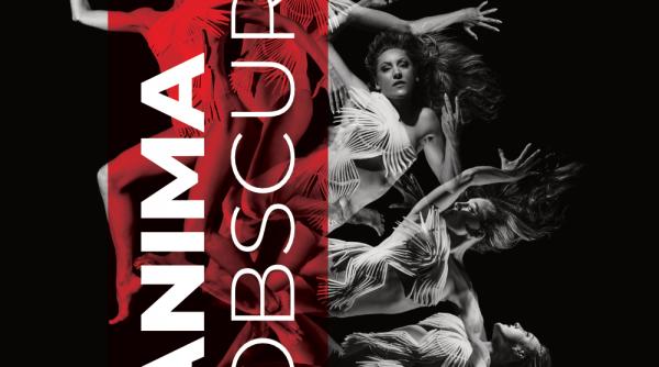 o noua editie a intalnirilor jti scapino ballet din rotterdam pentru prima data in romania