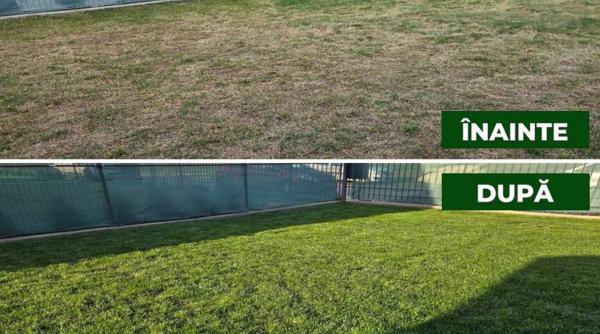 gazonul tau e cu toane afla cum fertilizarea foliara cu ingrasaminte lichide il poate transforma