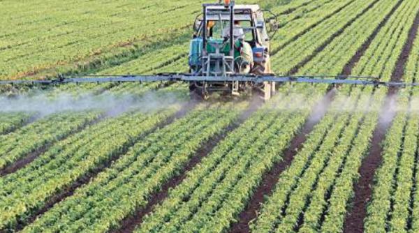 piata produs fitosanitar contrafac