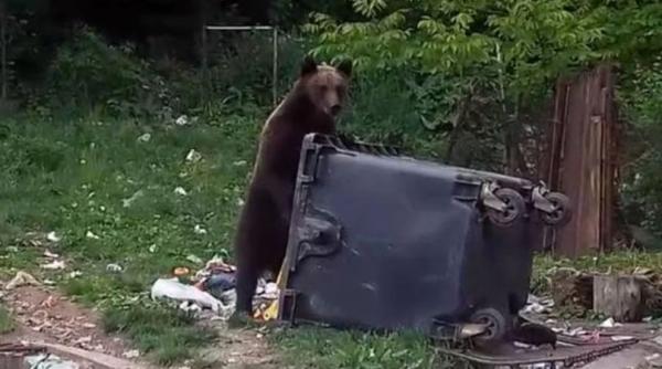 urs ro alert camping