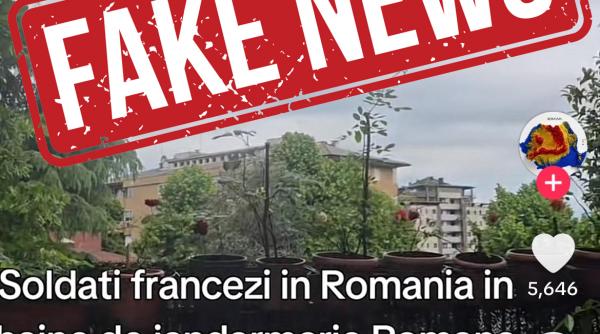 dezinformare tiktok mapn