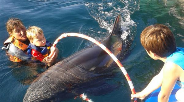 terapia delfini psihoterapie recreere escrocherie