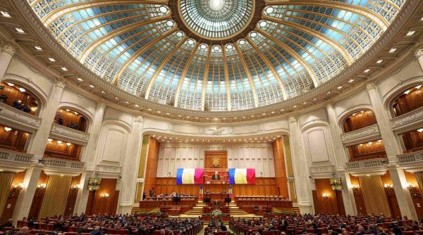 partidul pot ramane fara grup parlamentar senat