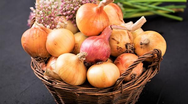 tai ceapa fara plangi raspuns fizicieni