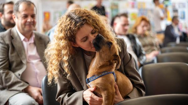 ora animale clasa optional scoli romania