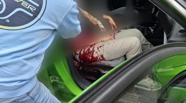 turisti sfasiati ursi transfagarasan