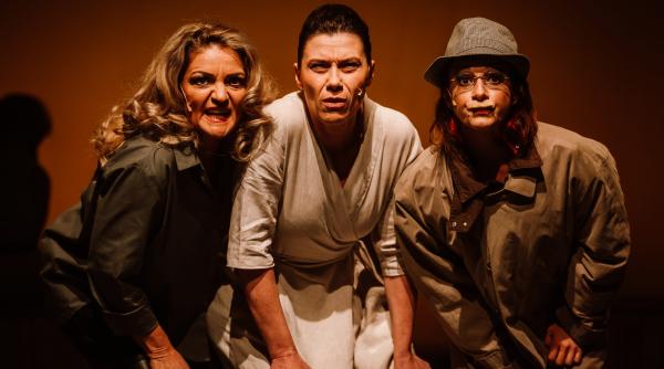 primele zile ale saptamanii centenare gyorgy harag spectacole comemorari si proiectii