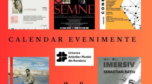 spectacol vizual pentru iubitorii artelor vizuale