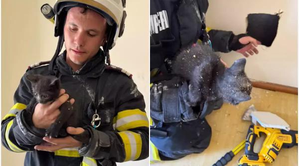 aiud pompieri pisica