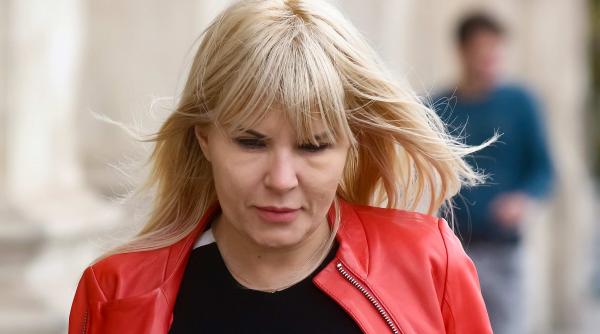 dna ploiesti elena udrea pedeapsa