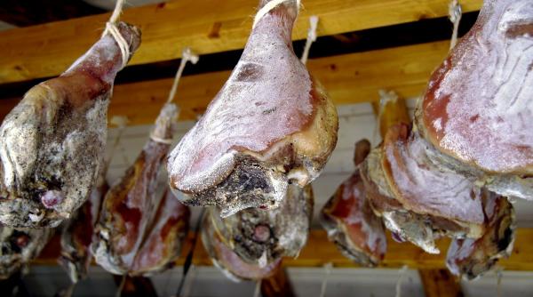 preparat culinar traditie peste 2 milioane ani