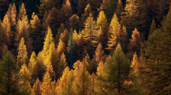 taberele de vara de la manastirea oasa oaze de liniste spiritualitate si regasire
