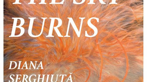 diana serghiuta revine la brasov cu prima sa expozitie personala where the sky burns la muzeul de arta brasov