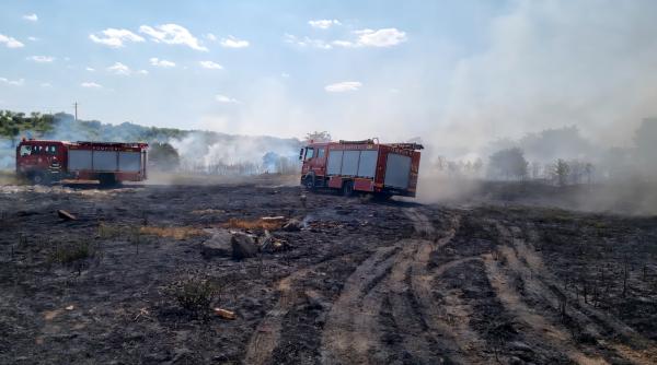 incendiu parc auto giurgiu