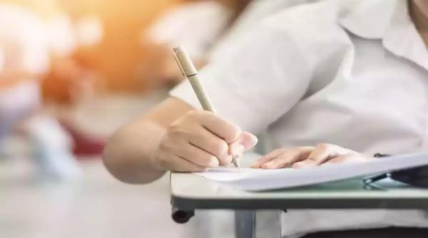 probe scrise evaluarea nationala