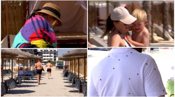 invazie buburuze litoral ce spun specialistii