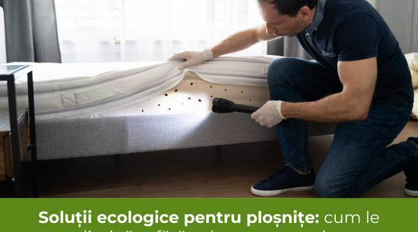 solutii ecologice pentru plosnite cum le eliminam fara substante agresive
