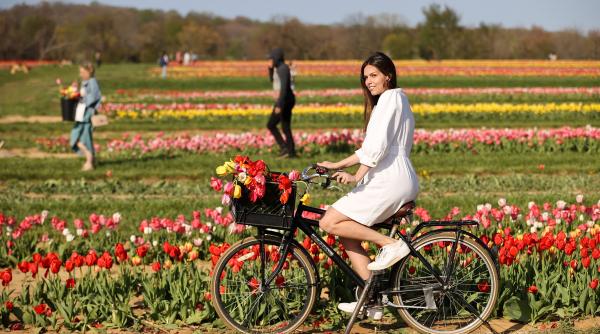 4 zodii vindecat sunt gata evolueze