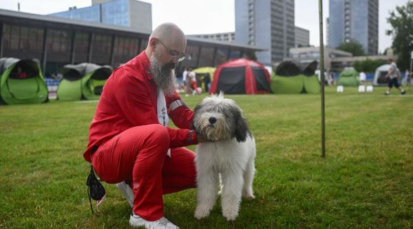 10 cele mai rare rase caini lume