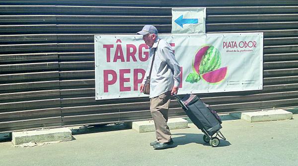 cod rosu tarabe obor