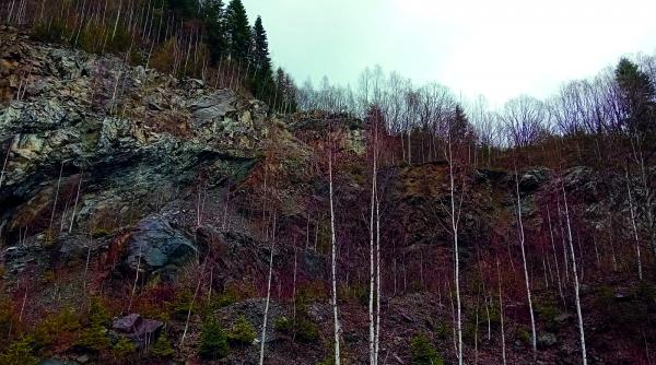 salrom razboi ministrul economiei listare bursa