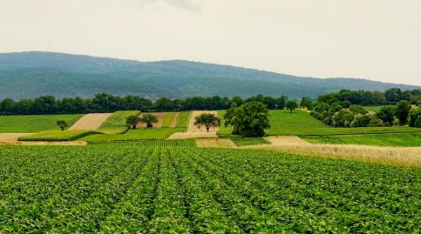 agricultura inteligenta solutia optima pentru sustenabilitate si profitabilitate