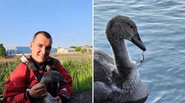 lebada pompieri oradea salvare