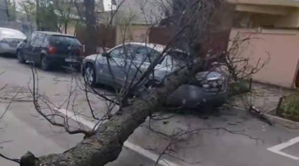 harghita vreme rea copaci cazuti fire electrice