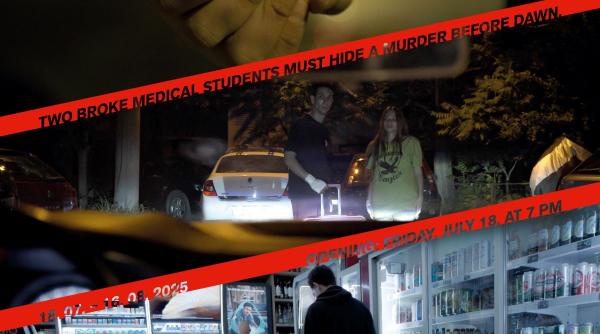 kunsthalle bega box prezinta knot de sorin valea