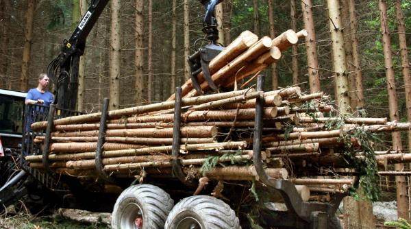 88 dintre romani defrisarile problema grava