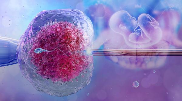 fertilizare in vitro fiv bani cupluri infertile