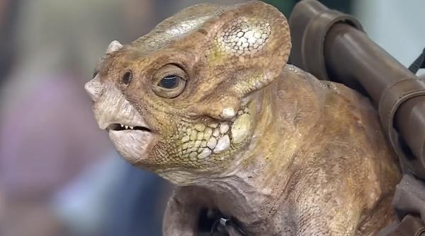 box office jurassic world rebirth peste 750 miloane de dolari f1 record brad pitt