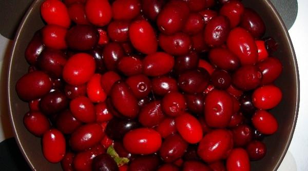 4 retete coarne padure beneficii sanatate