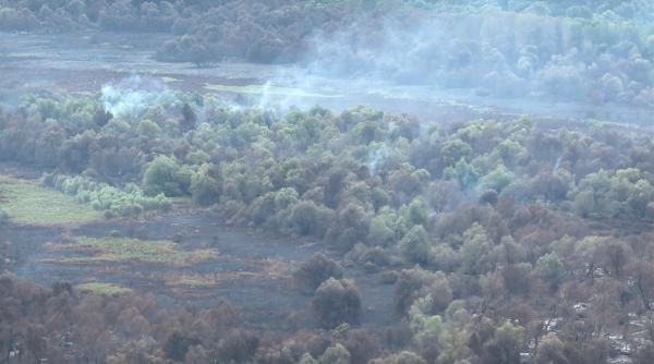 incendiu delta dunarii zona ostrov tataru chilia veche tulcea