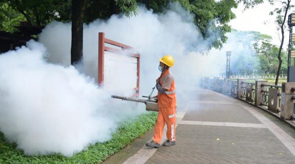 virus china chikungunya