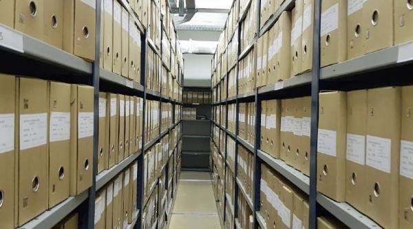 austerite primarie dominic fritz arhiva