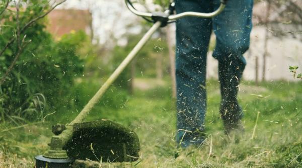 afacere spatii verzi criza primaria bacau cosit mecanizat